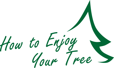 How to Enjoy Your Tree